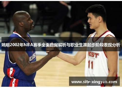 姚明2002年NBA赛季全面数据解析与职业生涯起步阶段表现分析